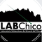 Icon-labchico