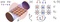 Fig1