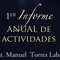 Icon-informe